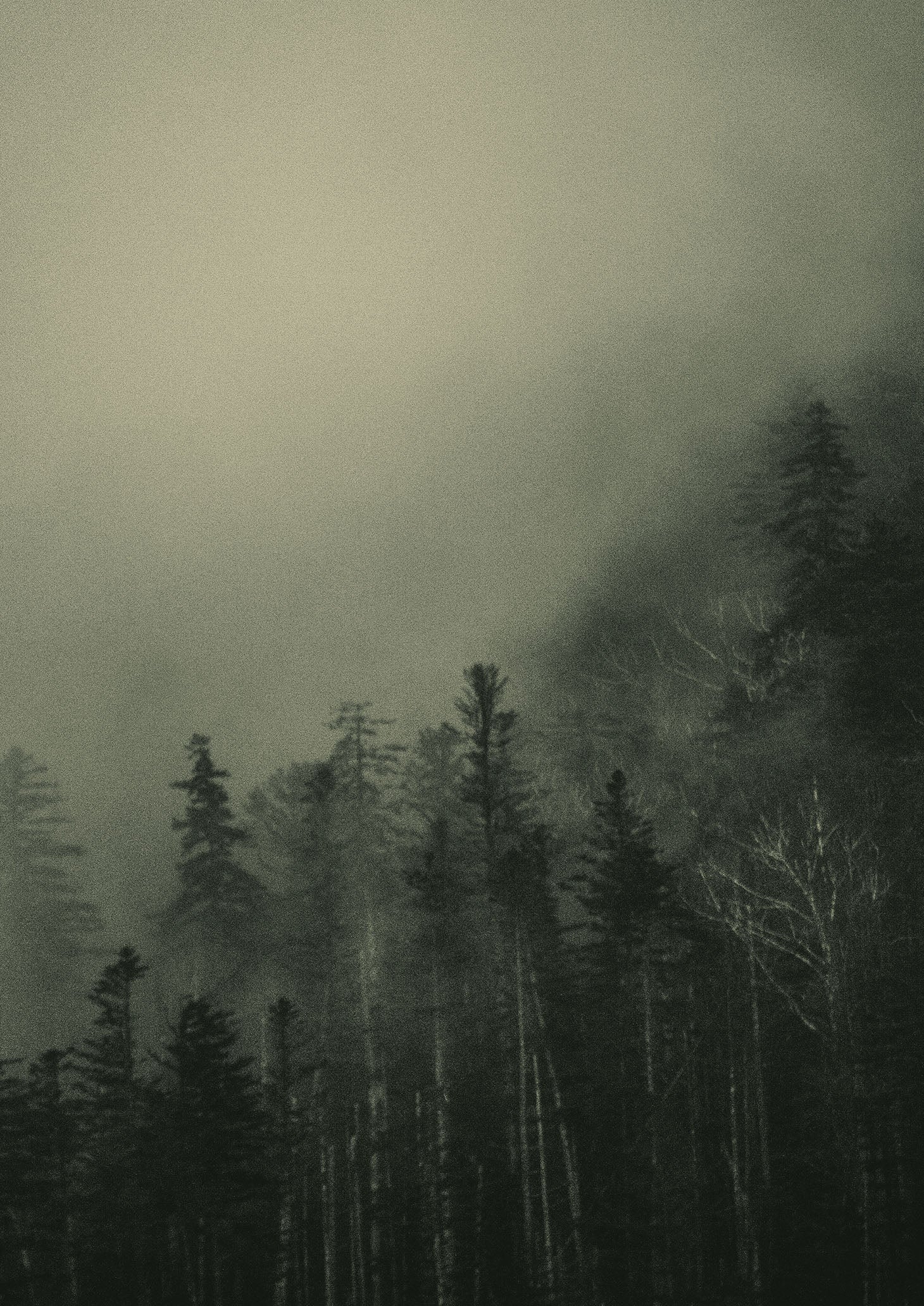 “In Search of Solitude” A Solo Exhibition by Shouya Grigg at KYO AMAHARE