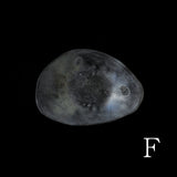 ●25-IY-14銀&白金楕円高台皿/小さ目