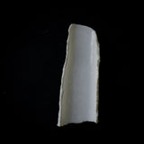 ●25-IY-24 Chasoku A