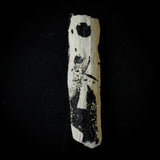 ●25-IY-24 Chasoku C