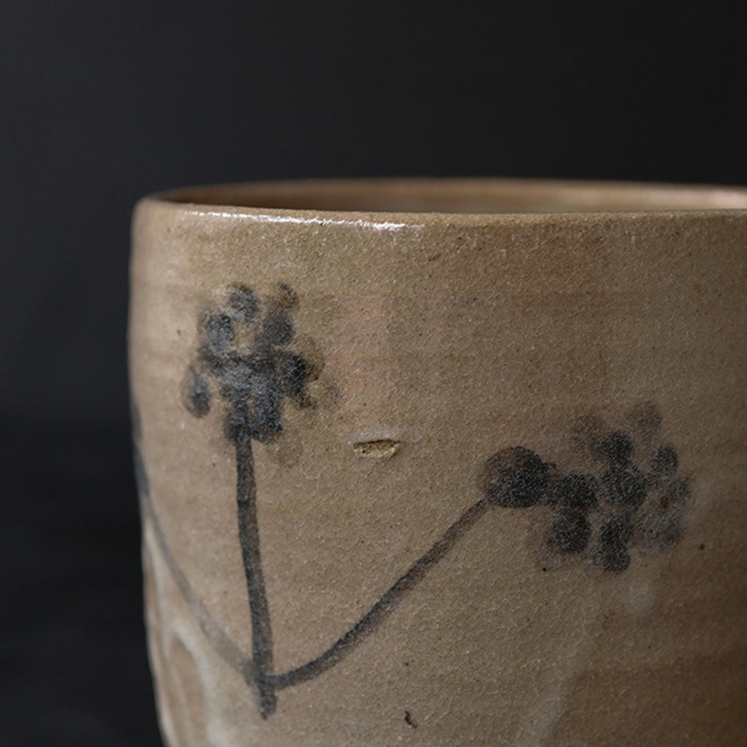 Naoto Yano - Karatsu Tea Bowl (Dandelion)