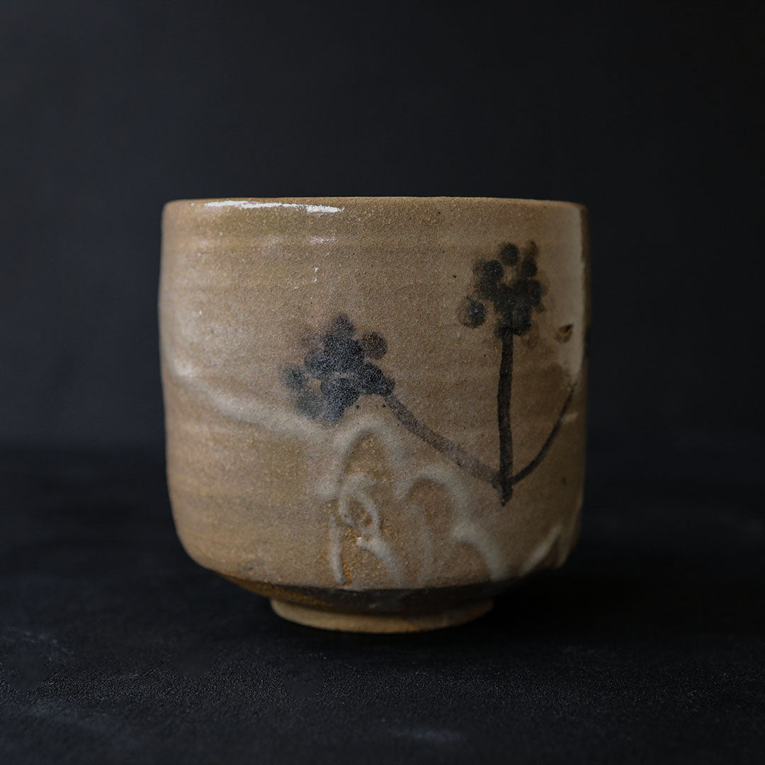 Naoto Yano - Karatsu Tea Bowl (Dandelion)