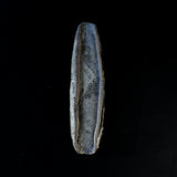 ●25-IY-56銀彩台皿 C