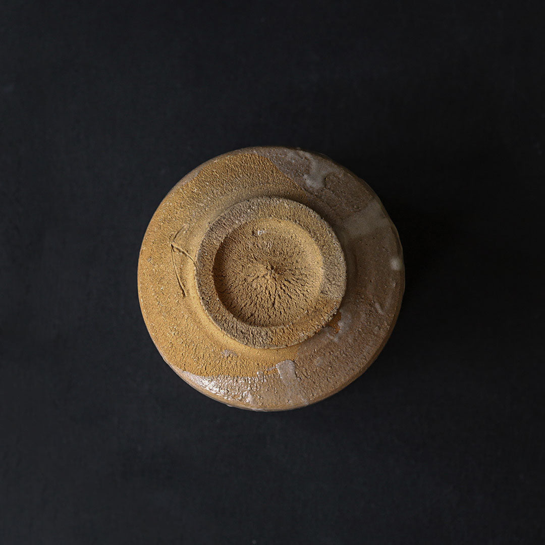 Naoto Yano - Karatsu Tea Bowl (Dandelion)
