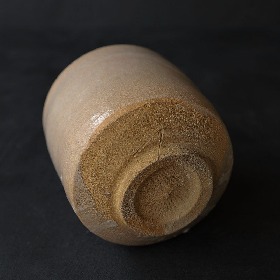 Naoto Yano - Karatsu Tea Bowl (Dandelion)