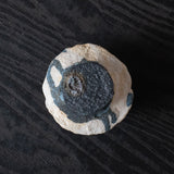 Yuko Ikeda Tea Caddy