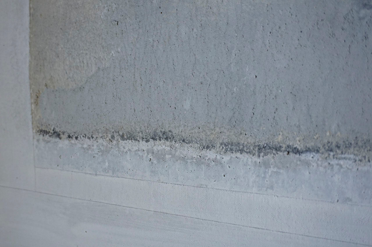 ハタノワタル窓からの風景 掛軸 MI-39