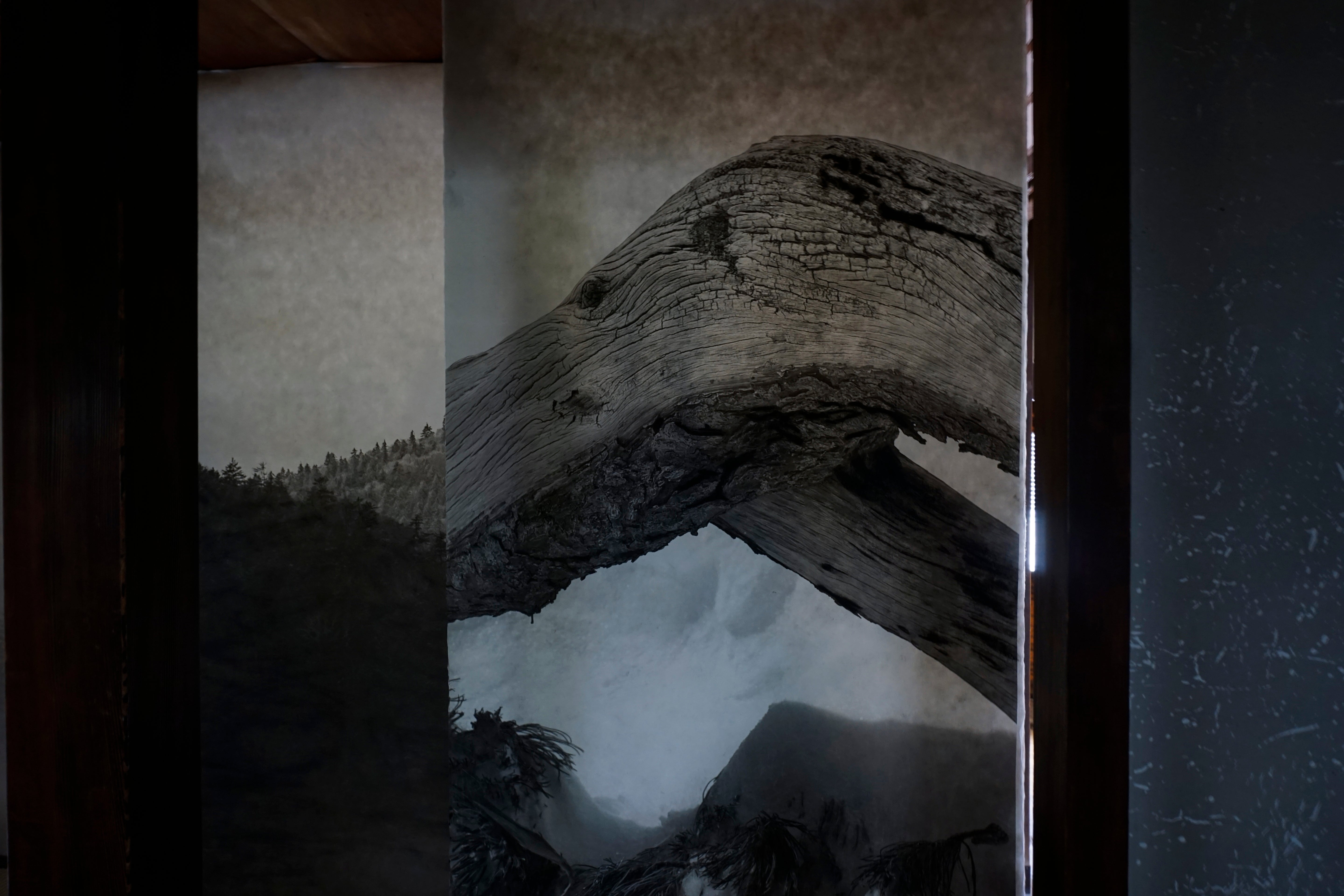 ●25-SG3-ART W3000mm×H2130mm hand colored