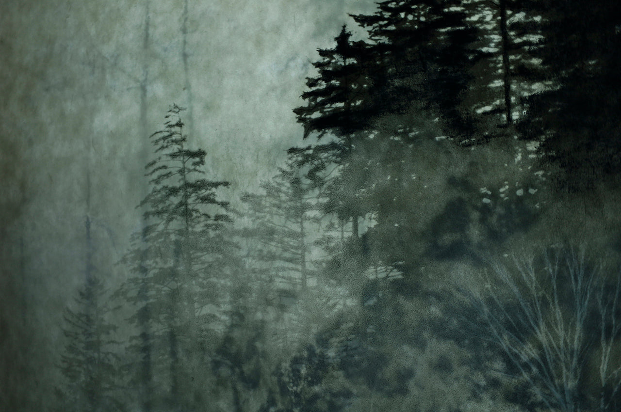 ●25-SG2-ART W3000mm×H2130mm hand colored