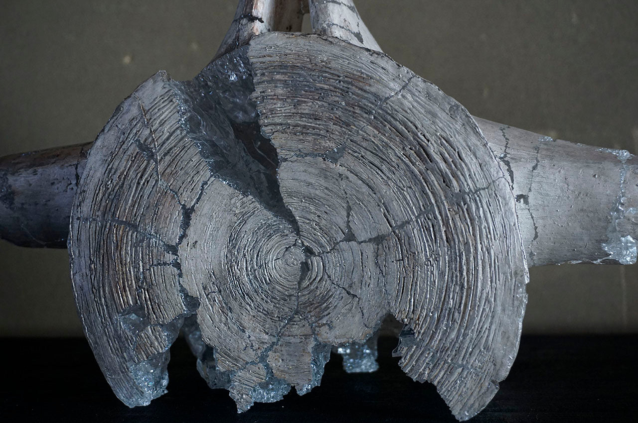 Marina Yonetsu Contact – Whale Bone –