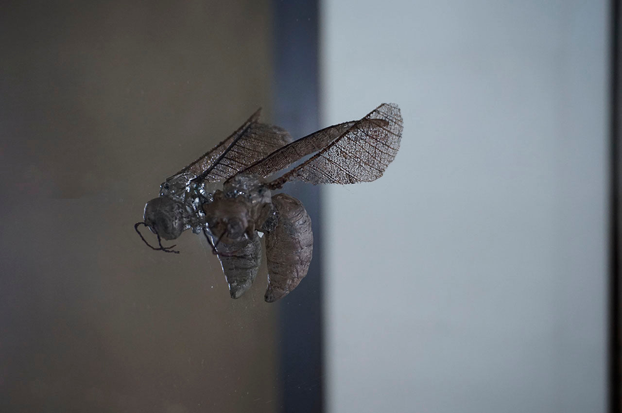 Marina Yonetsu Bee and Hive