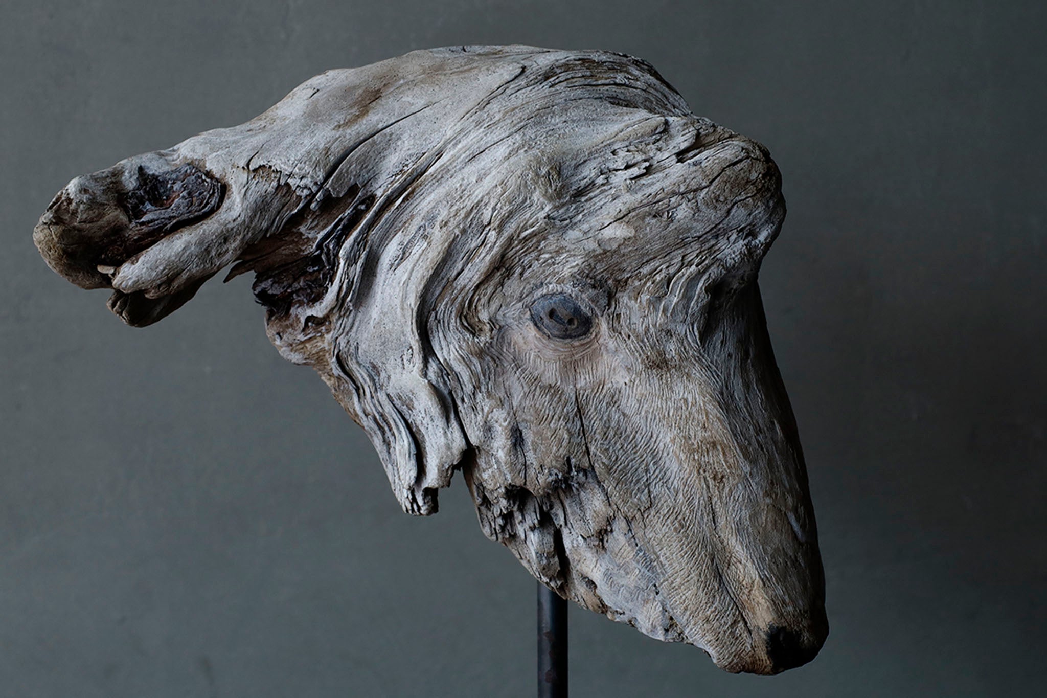 Norihisa Mizuta, "Driftwood Goat"