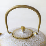 Kukan Chuzo / Moon Cast Iron Teapot S champagne (platinum color)