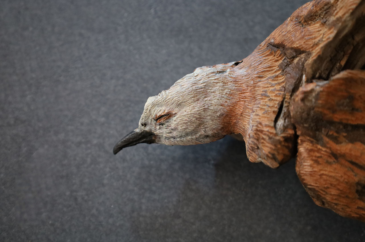 The Remains of a Bird
