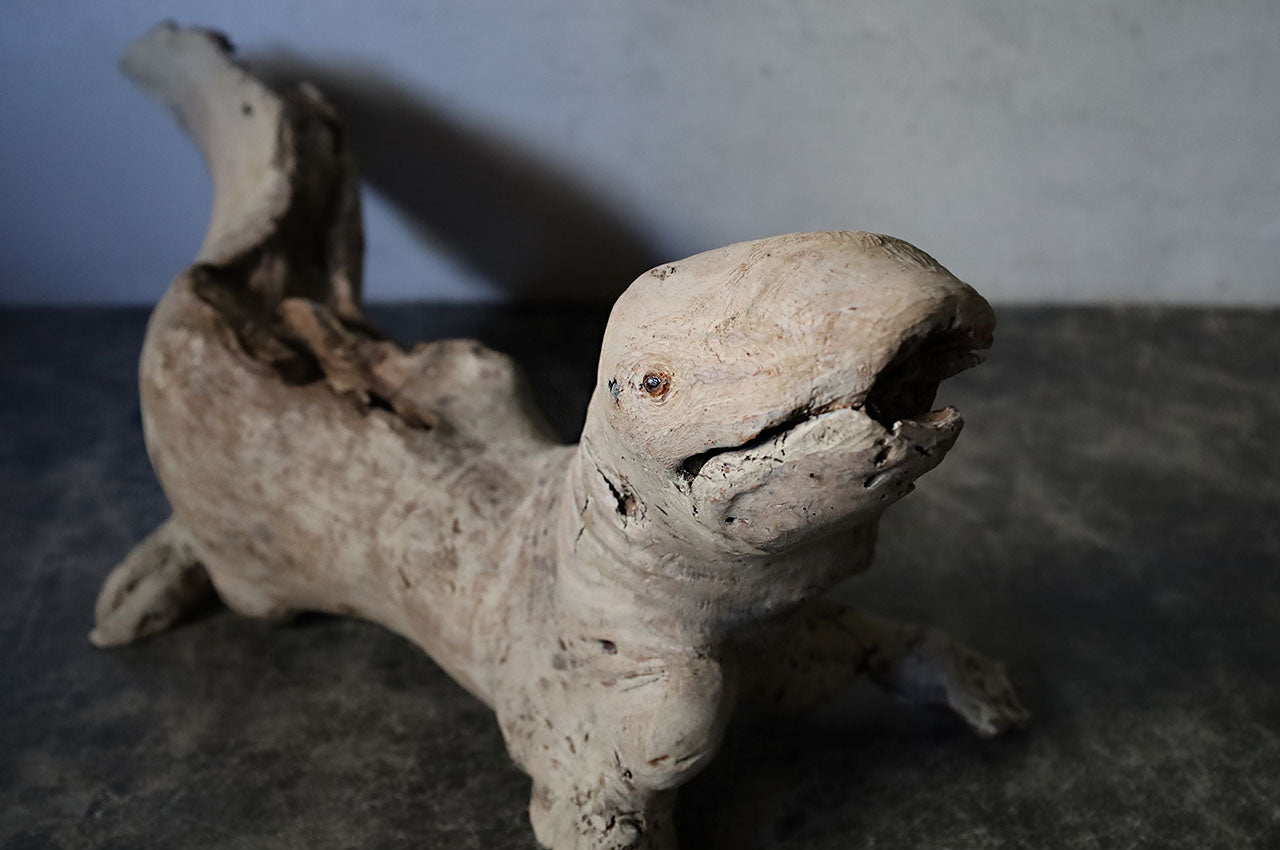 Salamander in Driftwood