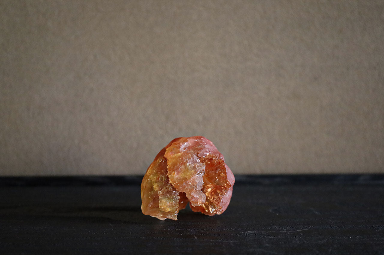 Marina Yonetsu Fruit (Chinese Lantern Plant)