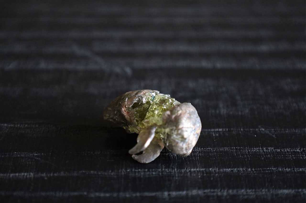 Marina Yonetsu Utsusemi (Cicada Shell)