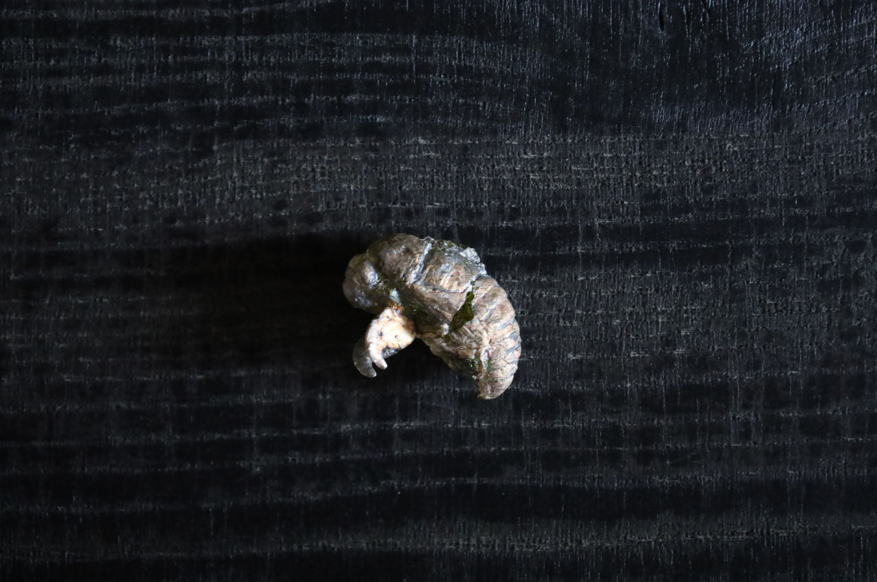 Marina Yonetsu Utsusemi (Cicada Shell)