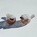 25-10S 津坂陽介 宙鳥(そらどり)