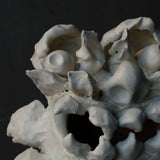 25-10S 陶房眞喜屋 シーサー 中