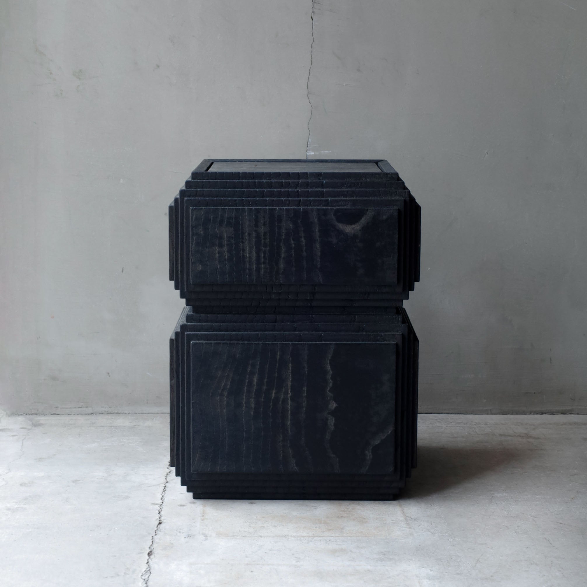 Fuyou Brion Trunk - Black