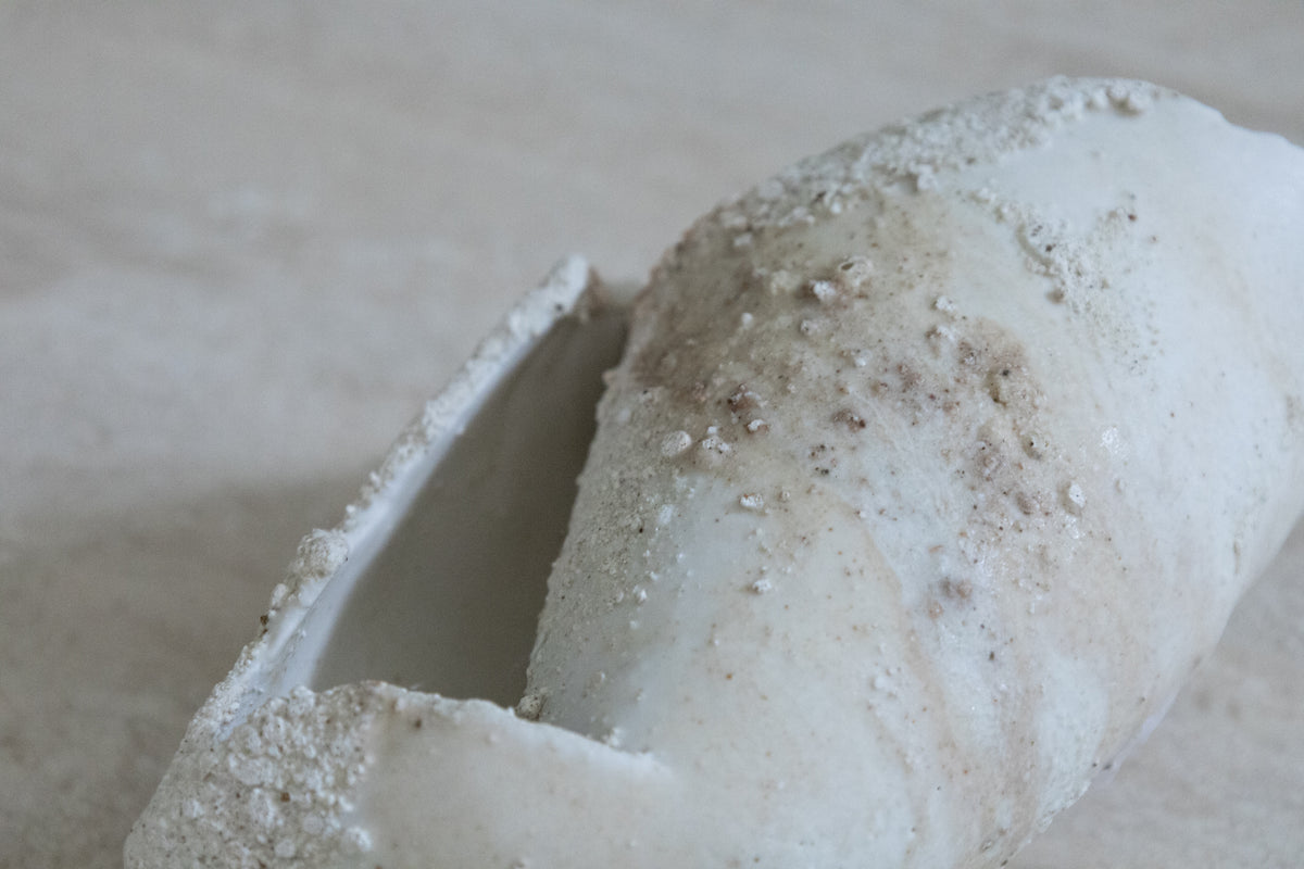Yuko Ikeda: 26M-3 Shell Sculpture (Shell Objet)