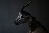 Norihisa Mizuta / Sculpture 25-b