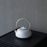 25-10S 空間鋳造 急須 Nanbu 小 白金色 桐箱入