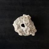 25-10S 池田優子 白磁 岩肌花器-10