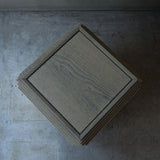 Fuyou Brion Table S