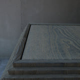 Fuyou Brion Table S
