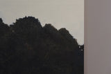 Wataru Hatano "Mountain" 900×1150 42156603