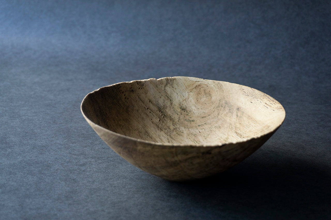 ●22-KF54 エノキ