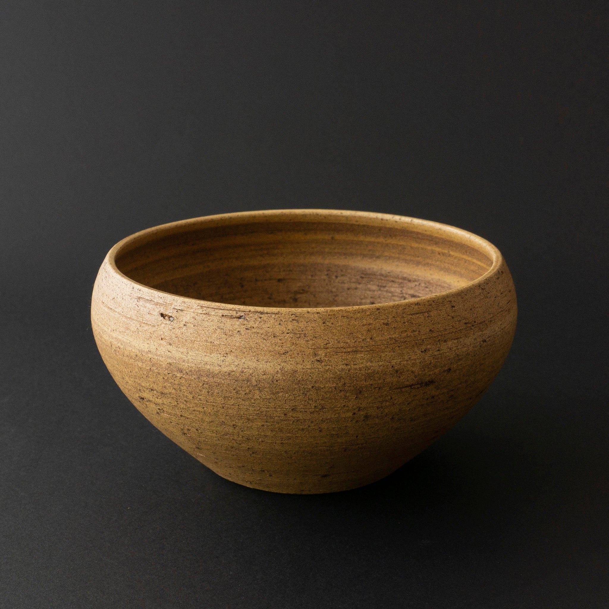 GAKU âge Iron Bowl φ170