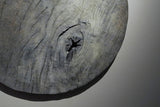 Fuyou Enshin (Jindai zelkova)