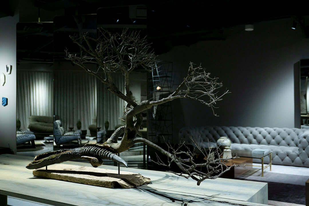 Norihisa Mizuta / Horn L