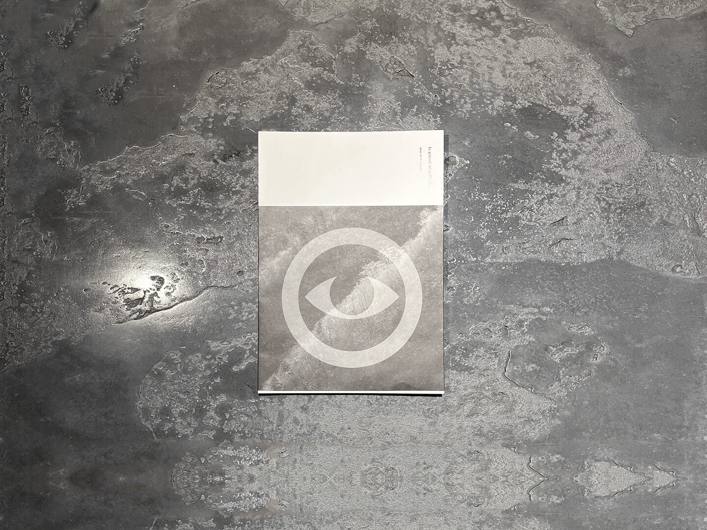 Shouya Grigg Photo Book