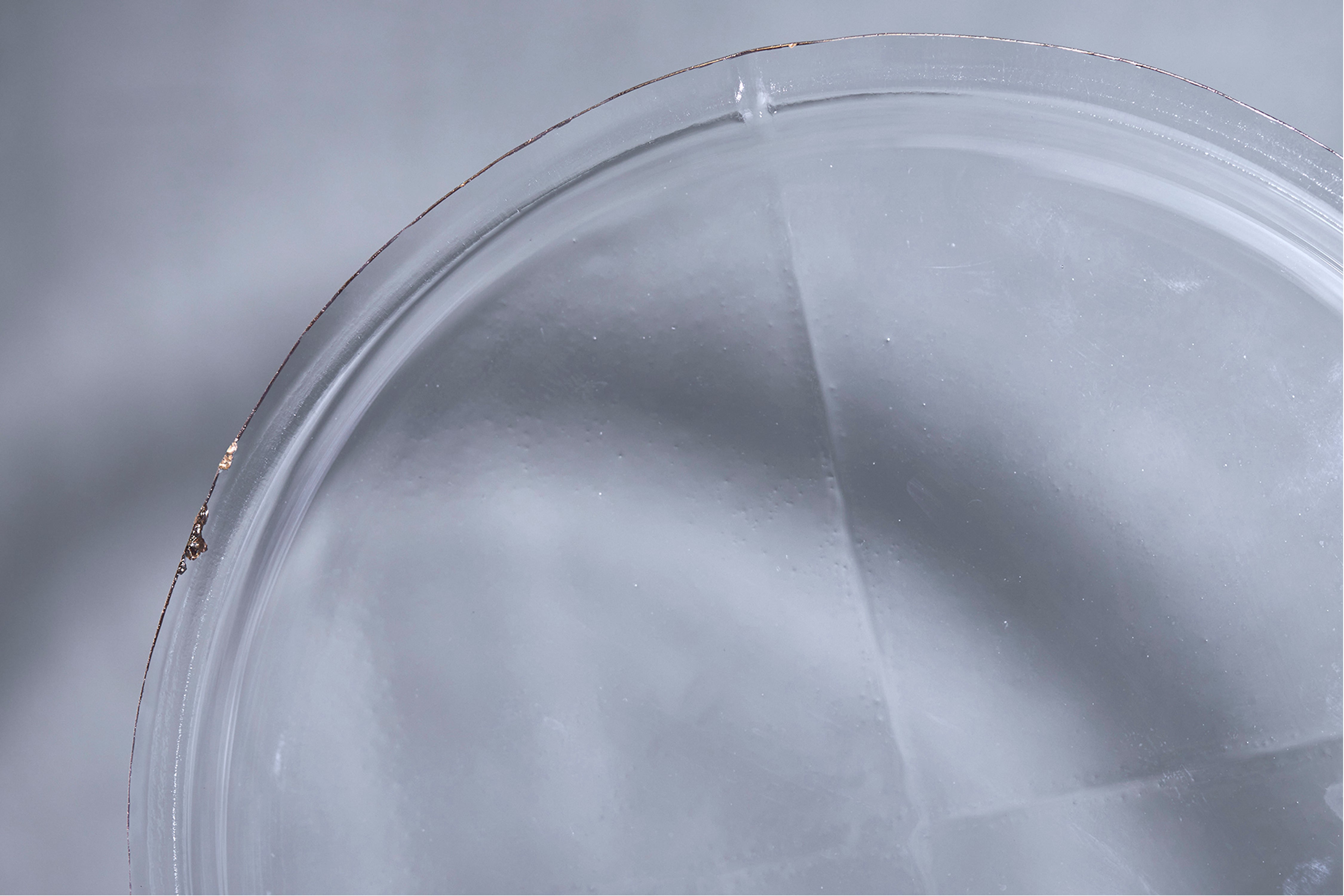 谷口嘉×KYO AMAHARE<br>「うすらひ/Usurai」