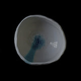 ●25-IY-19 Tea Bowl C