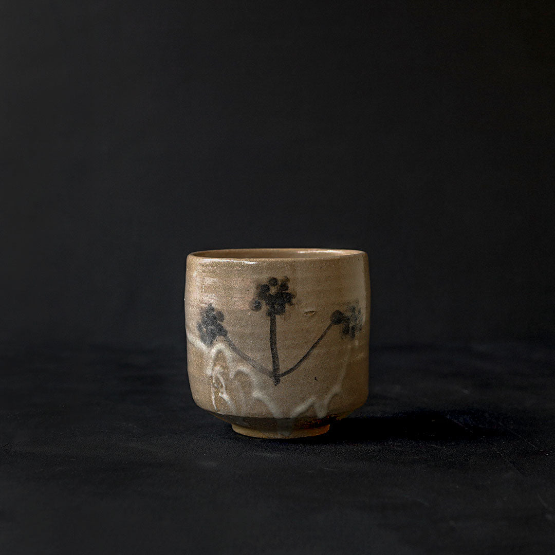 Naoto Yano - Karatsu Tea Bowl (Dandelion)