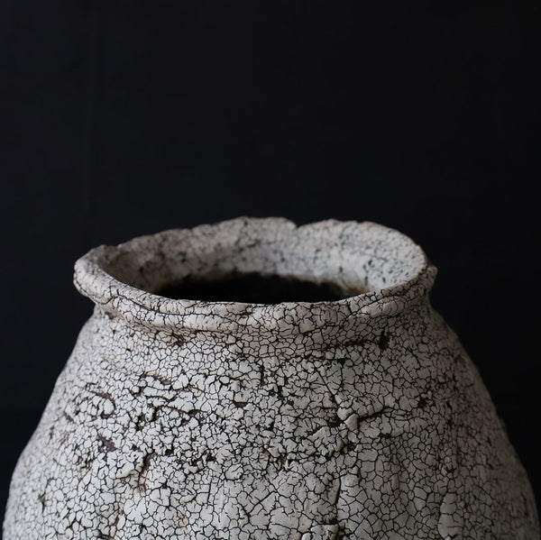 ●24-GN 22 Crackle Finish Vase F