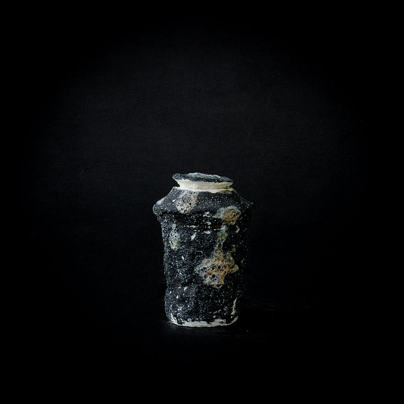 ●25-IY-26 Tea Caddy D