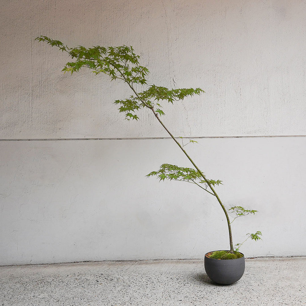 69-4_6424c373-3108-4d1e-bacd-