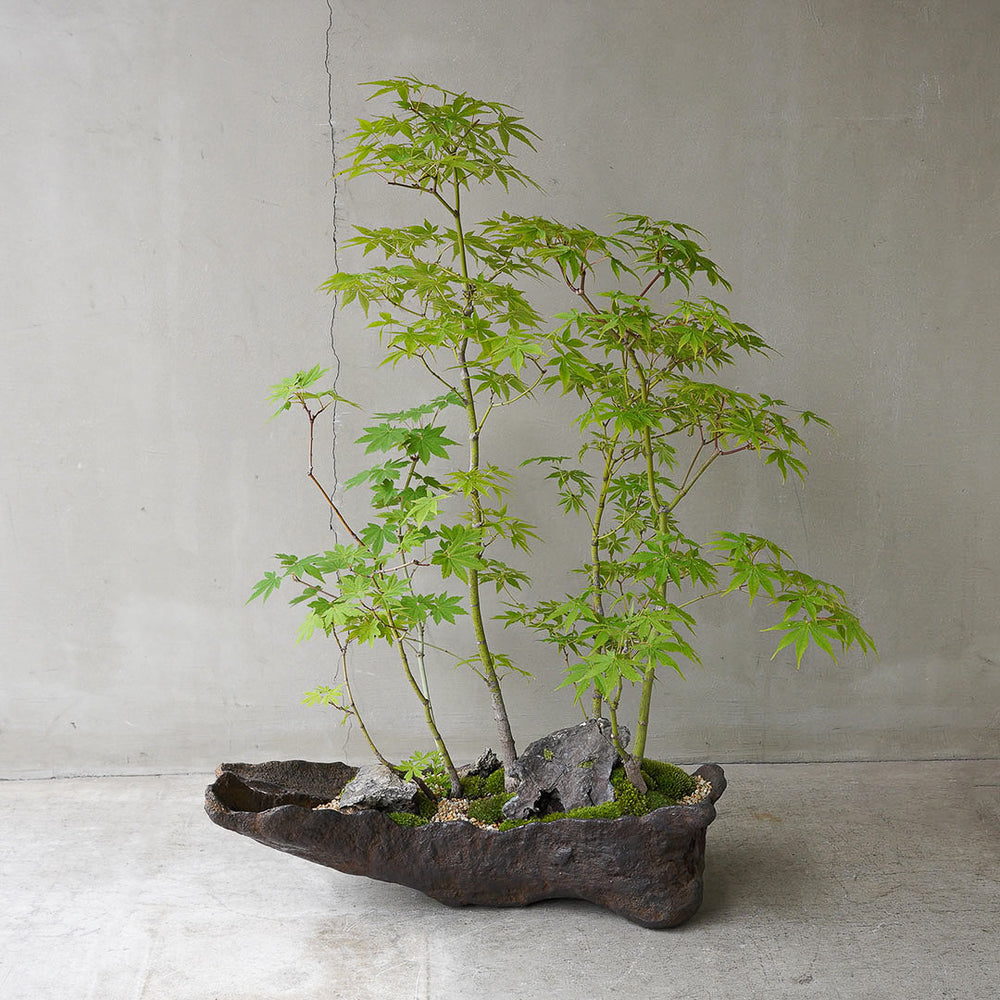 自然石・小品盆栽岩ヒバ鉢・水鉢・寄せ植え鉢