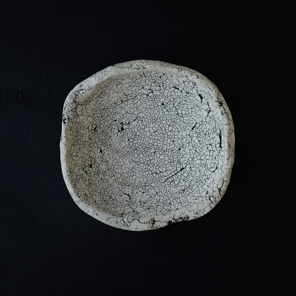 Gaku Nakane Cracked Earth Dish A