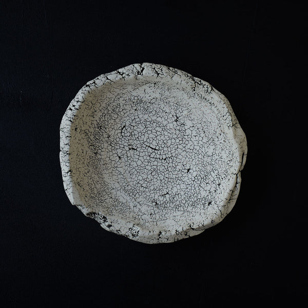 Gaku Nakane Cracked Earth Dish D