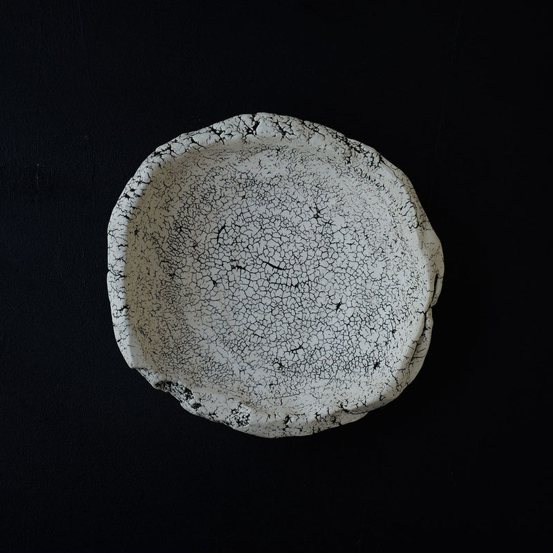 Gaku Nakane Cracked Earth Dish D
