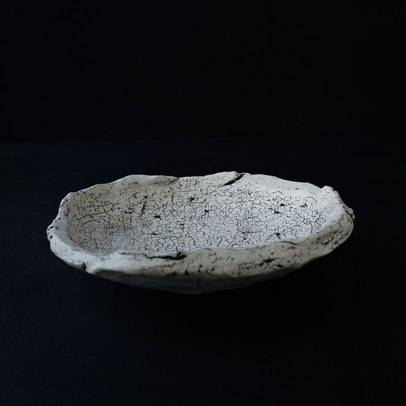 Gaku Nakane Cracked Earth Dish D
