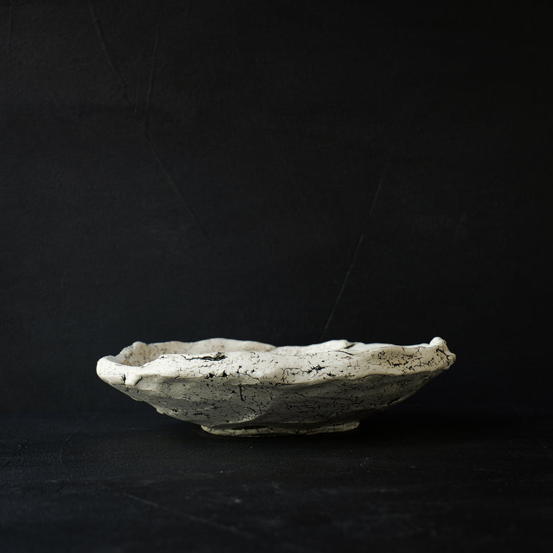 Gaku Nakane Cracked Earth Dish D