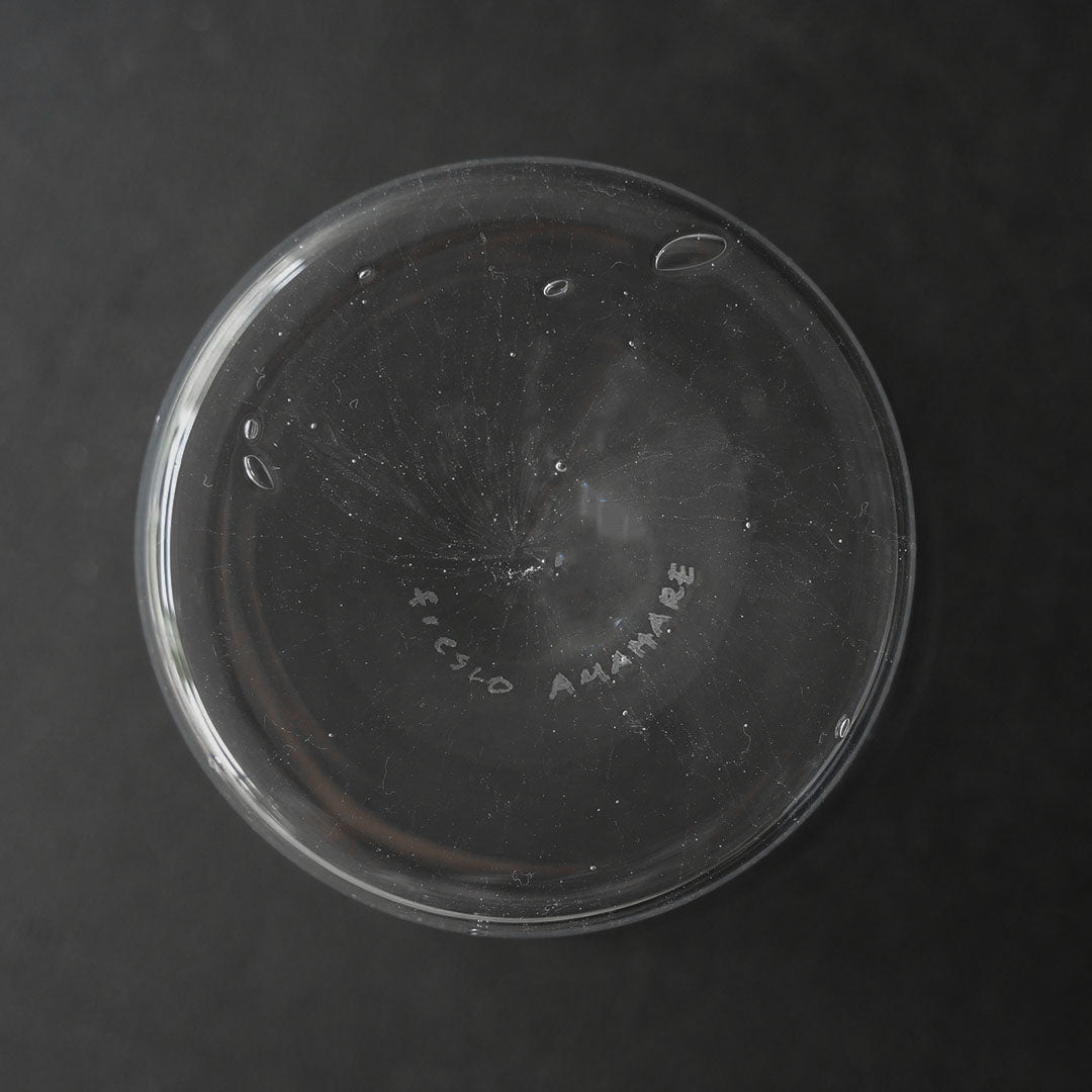 fresco×雨晴 old glass Rain CL